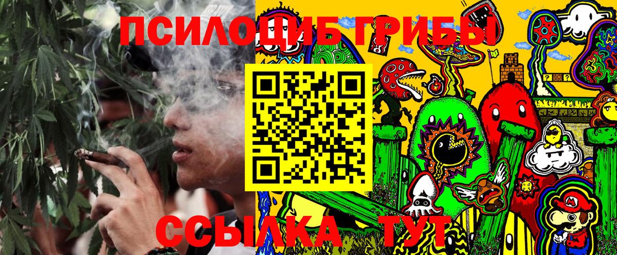 Псилоцибиновые грибы Psilocybe  Вход с VPN  Большой Камень 
